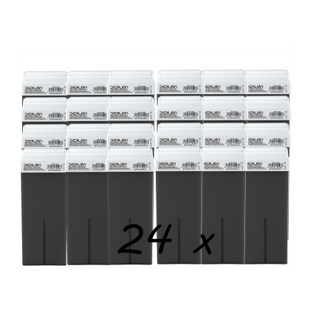 Pack 24 x Roll On Cera 100ml - Carbon